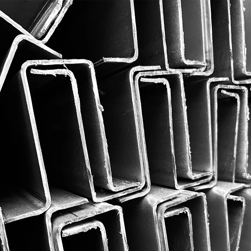 Profilo stampato Omega